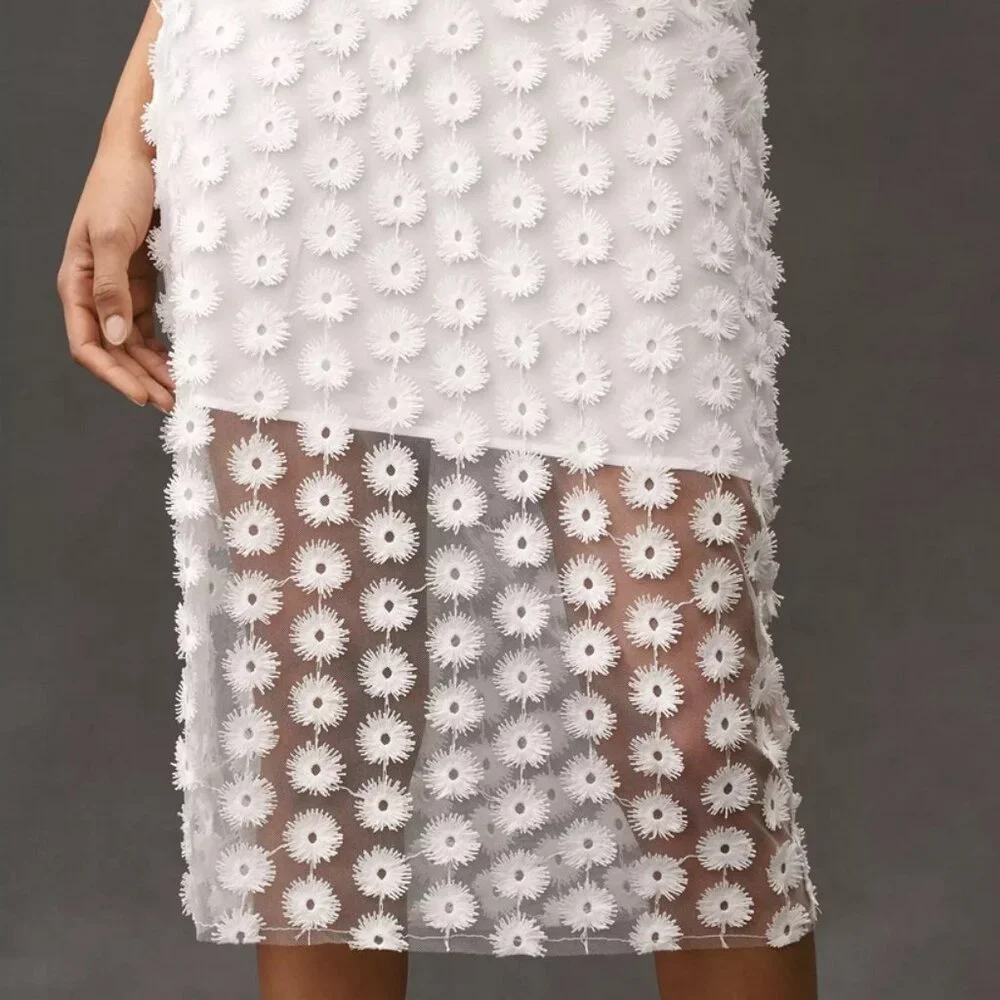 NWT By Anthropologie 3D Texture Sheer Slip Midi Skirt size Small - Picture 9 of 11